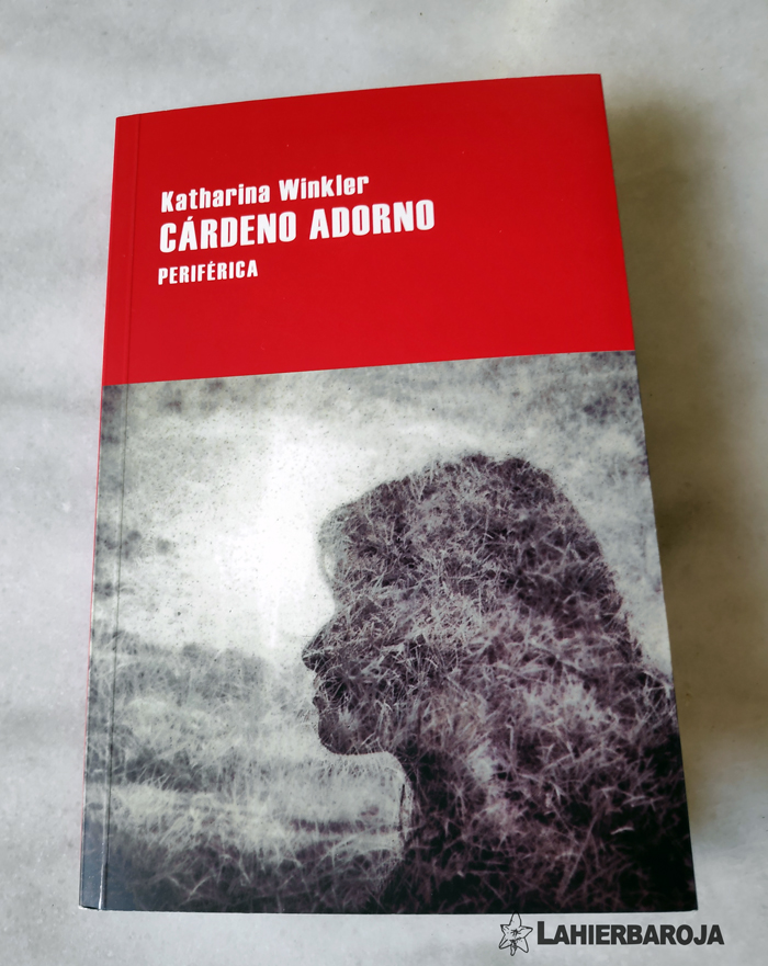 Cardeno-adorno